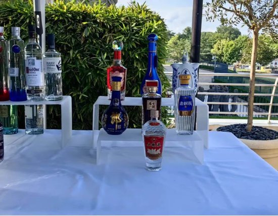 中国酒业协会宋书玉理事长一行赴日内瓦出席世界烈酒联盟会议