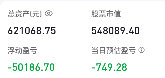 胡锡进:今天给两只股票加仓,总亏损7.9万元